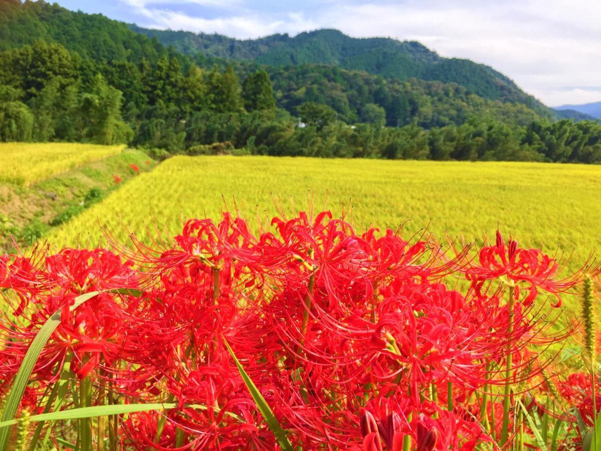 Nature Resort In Shimanto Funato  ภายนอก รูปภาพ